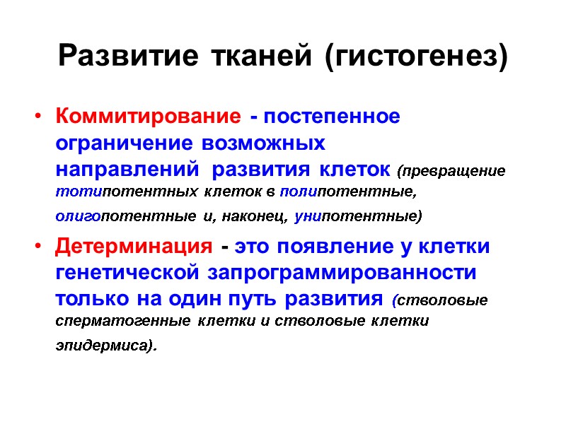 Развитие тканей (гистогенез)  Коммитирование - постепенное ограничение возможных направлений  развития клеток (превращение